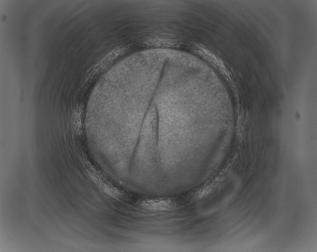 X0000085730065200704091455