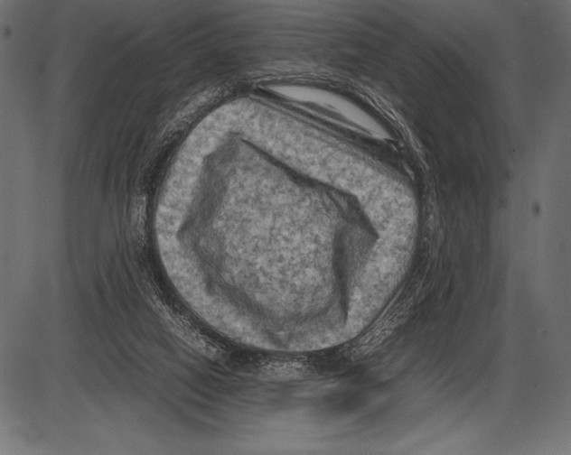 X0000085730066200704091455