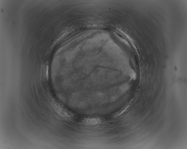 X0000085730067200704091455