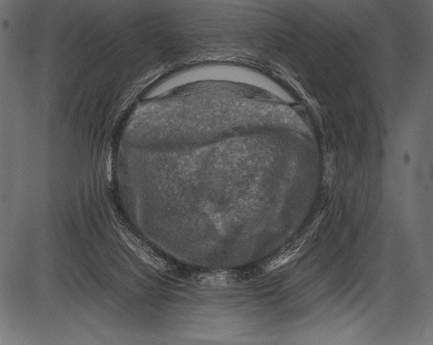 X0000085730068200704091455