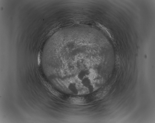 X0000085730069200704091455