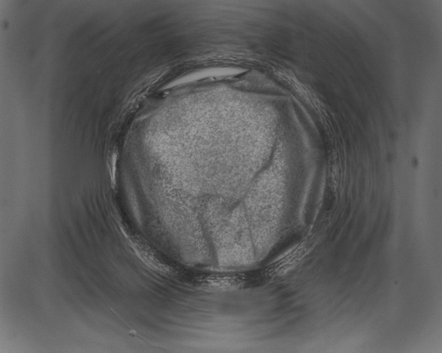 X0000085730070200704091455