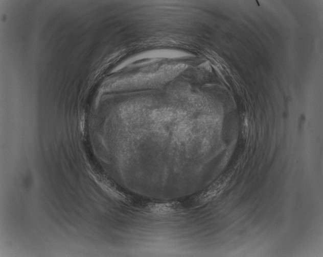 X0000085730072200704091455