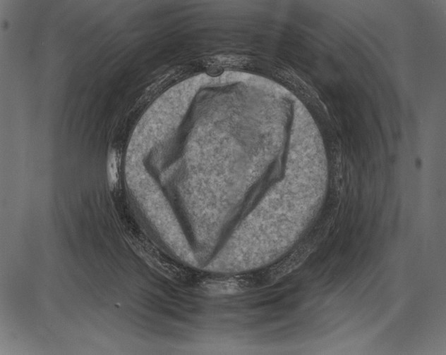 X0000085730075200704091455