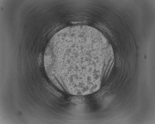 X0000085730077200704091455