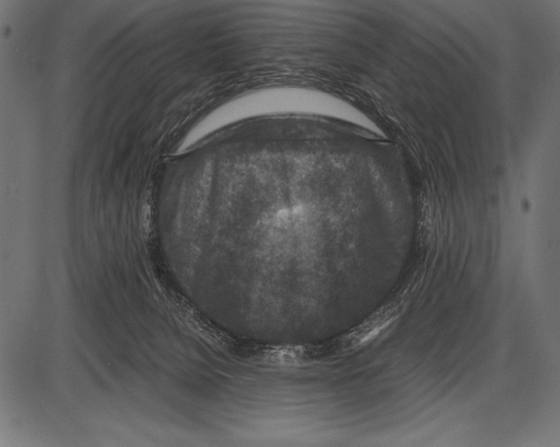 X0000085730080200704091455