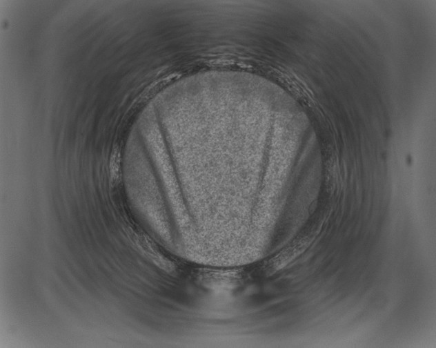 X0000085730081200704091455