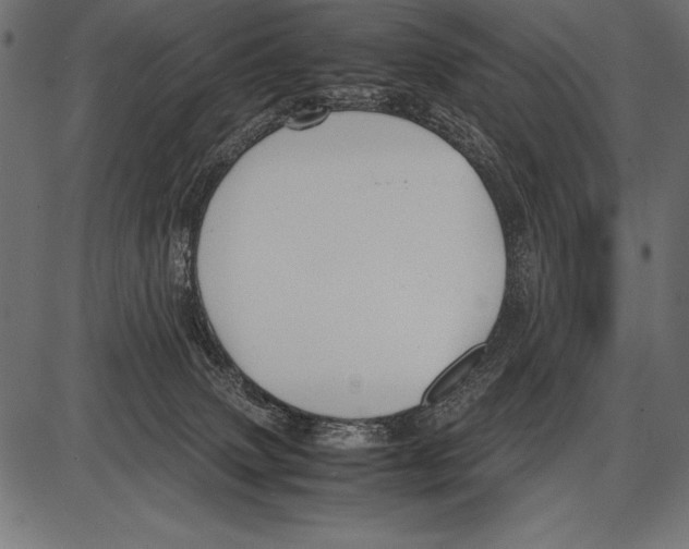 X0000085730083200704091455