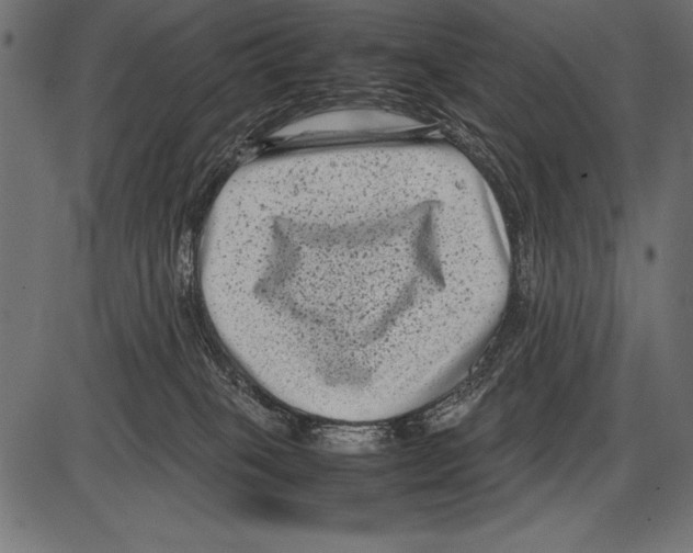 X0000085730085200704091455