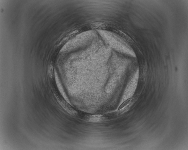 X0000085730090200704091455