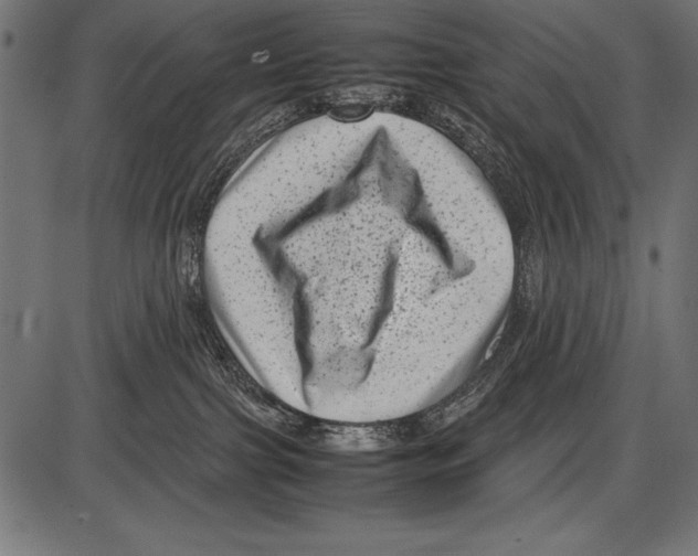 X0000085730091200704091455