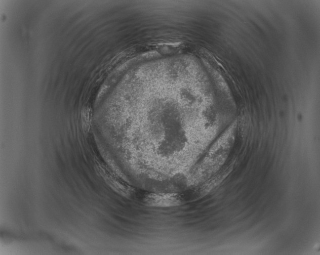 X0000085730093200704091455