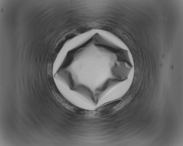 X0000085730096200704091455