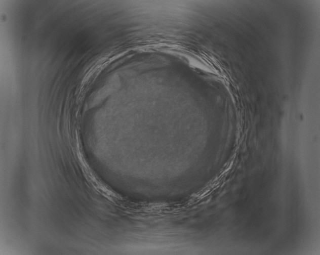 X0000085730097200704091454