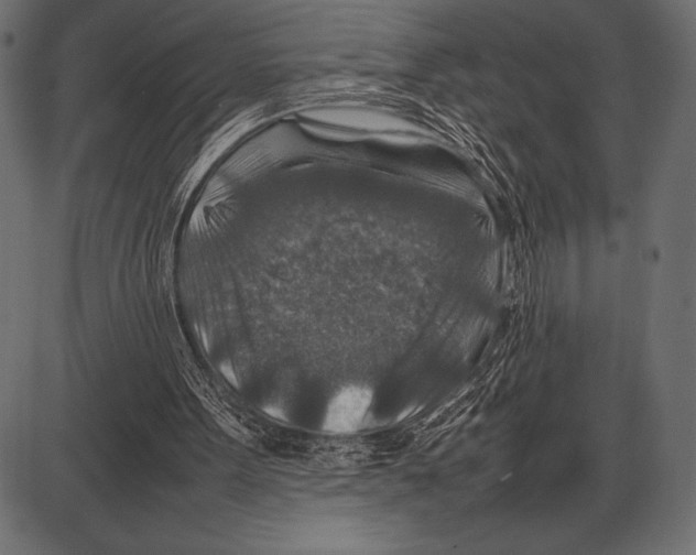 X0000085730099200704091454