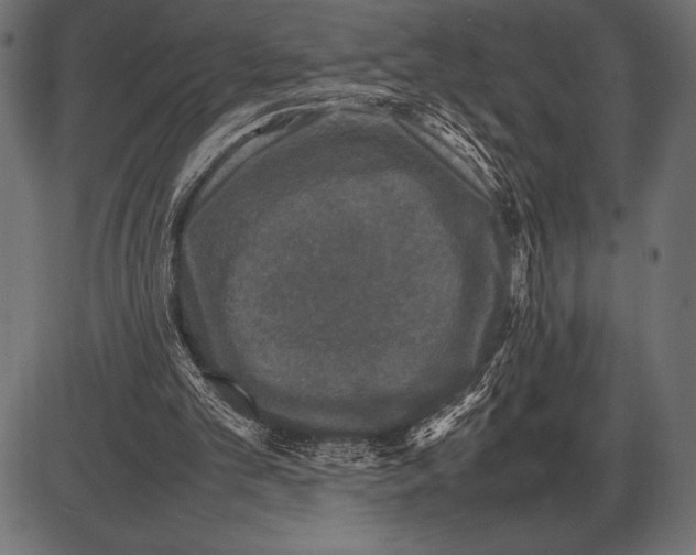 X0000085730101200704091454