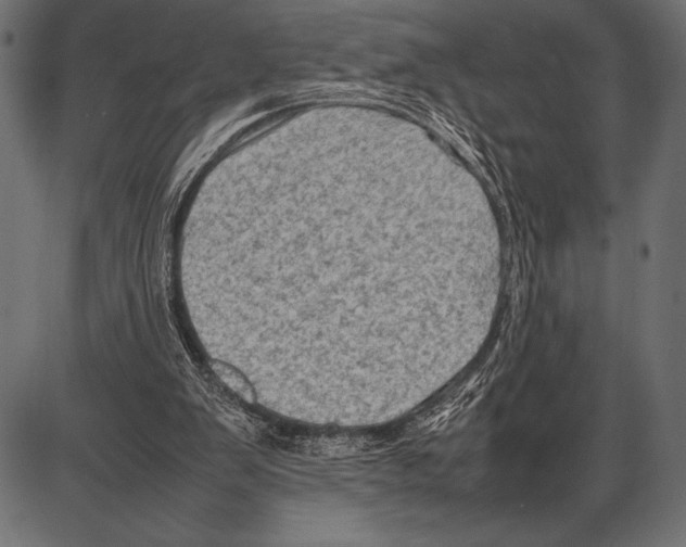 X0000085730103200704091454