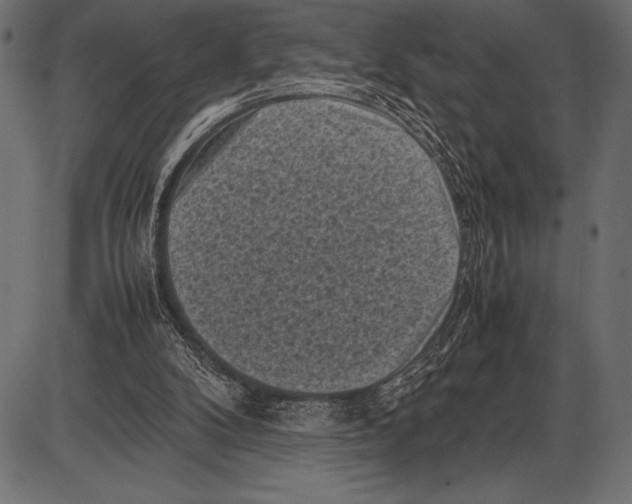 X0000085730104200704091454