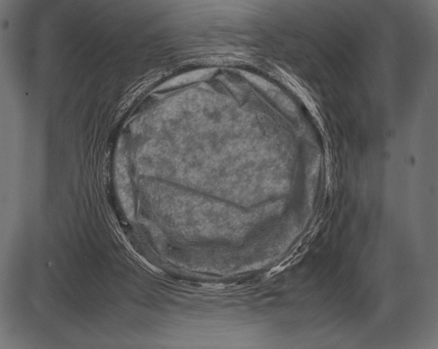 X0000085730105200704091454