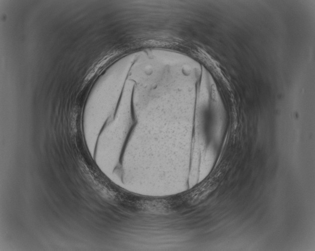 X0000085730106200704091454