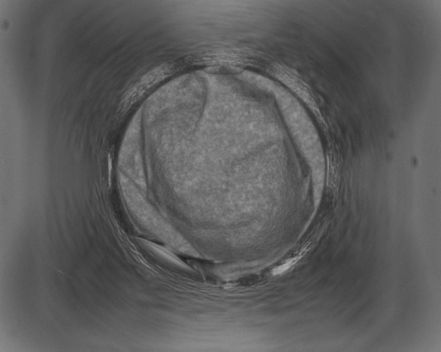 X0000085730109200704091454