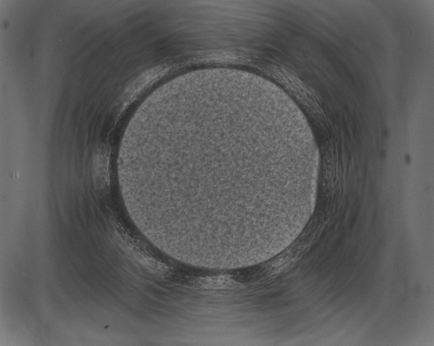 X0000085730112200704091454