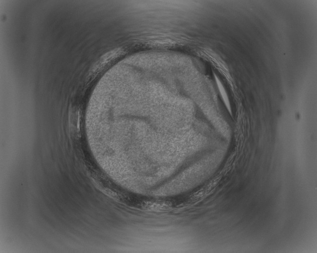 X0000085730115200704091454