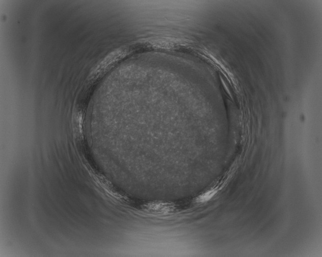 X0000085730117200704091454