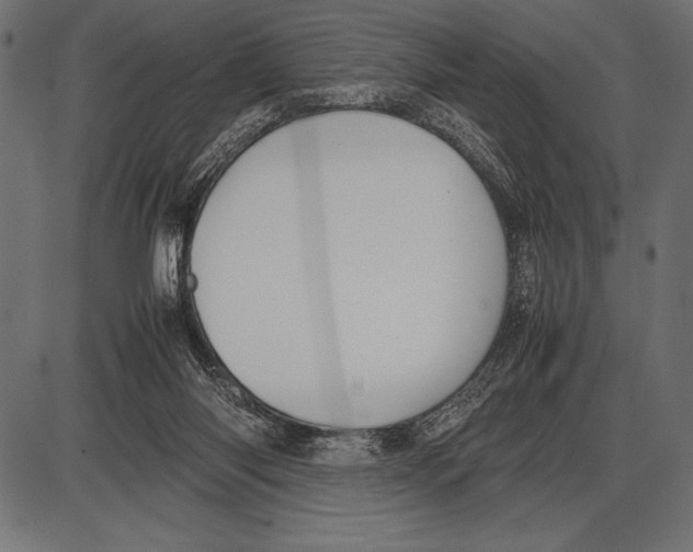 X0000085730118200704091454