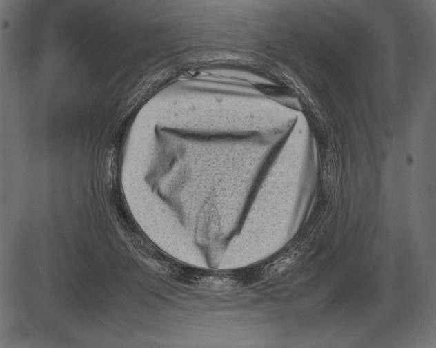 X0000085730119200704091454