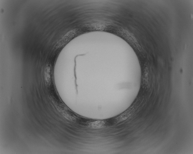 X0000085730122200704091454