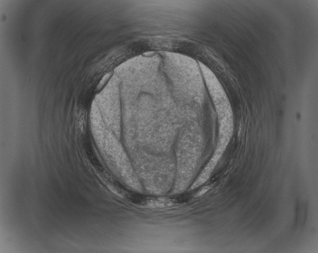 X0000085730125200704091454