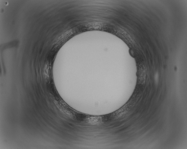 X0000085730126200704091454