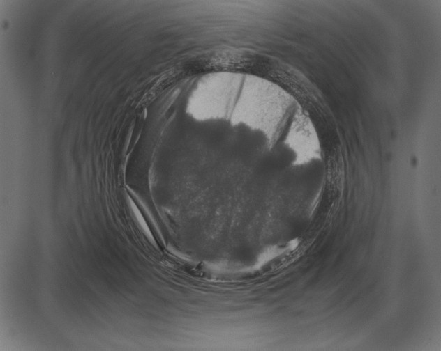 X0000085730127200704091454