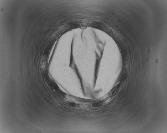 X0000085730129200704091454