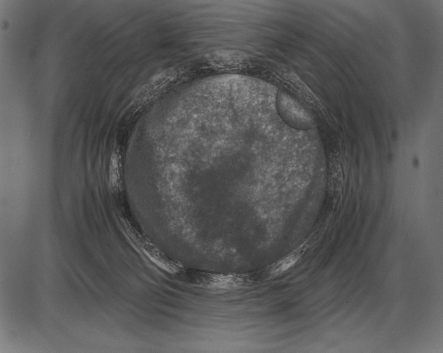 X0000085730130200704091454