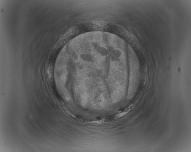 X0000085730131200704091454