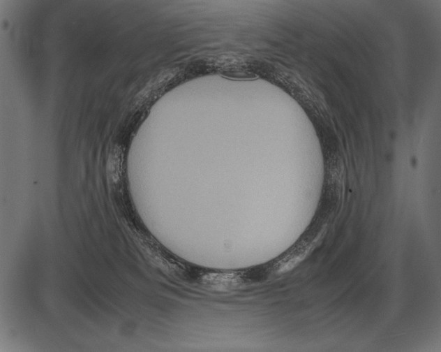 X0000085730133200704091454