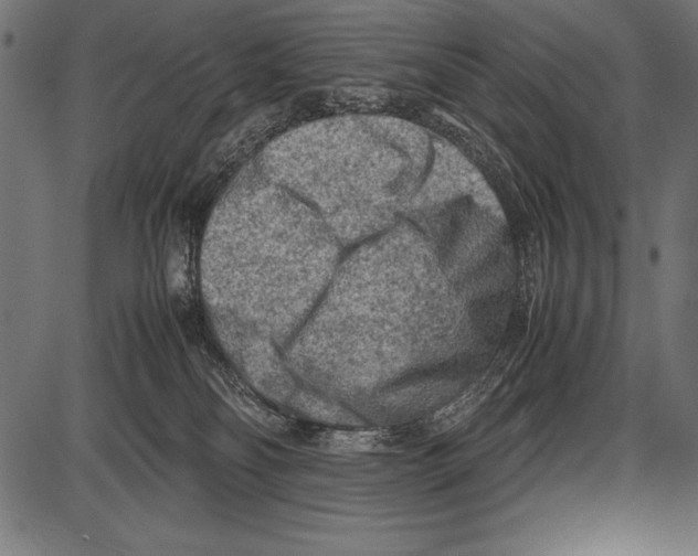 X0000085730134200704091454