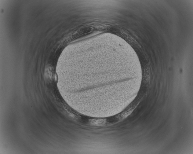 X0000085730135200704091454