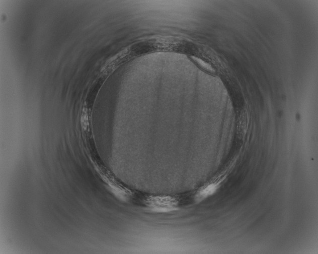 X0000085730137200704091454