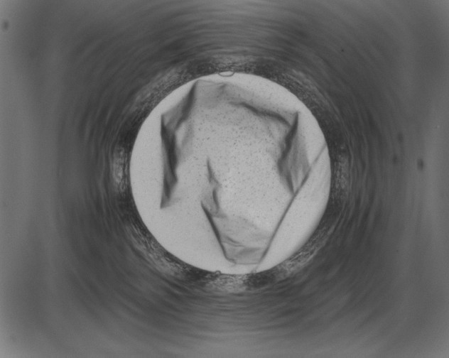 X0000085730138200704091454