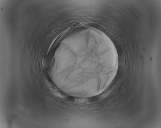 X0000085730139200704091454