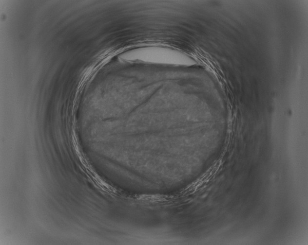 X0000085730145200704091453