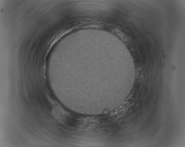 X0000085730146200704091453