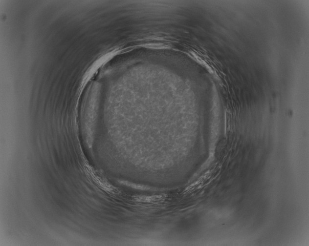 X0000085730147200704091453