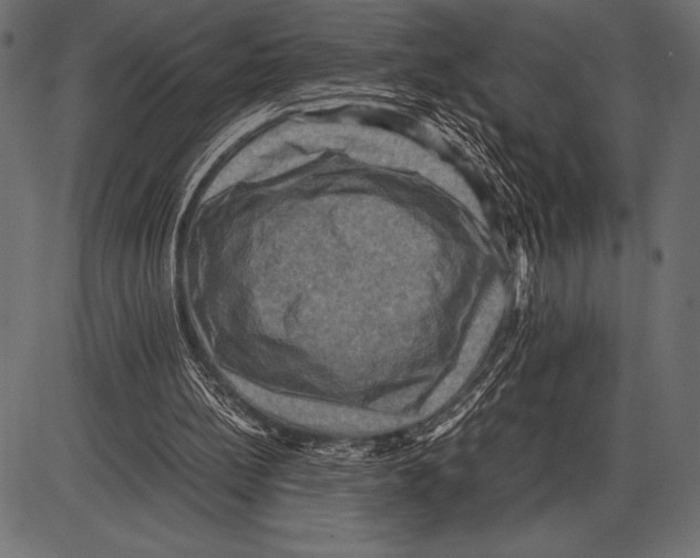 X0000085730148200704091453