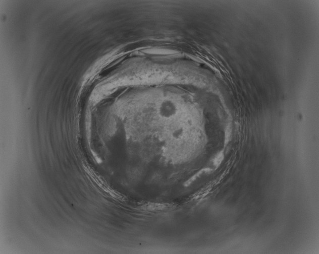 X0000085730149200704091453