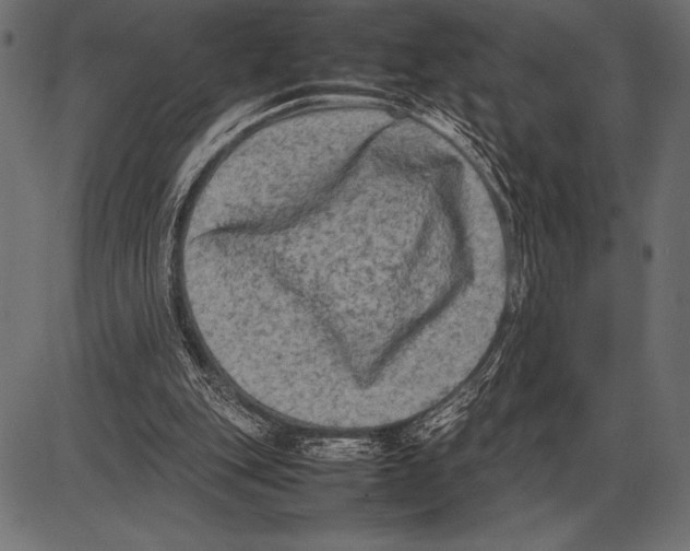 X0000085730151200704091453