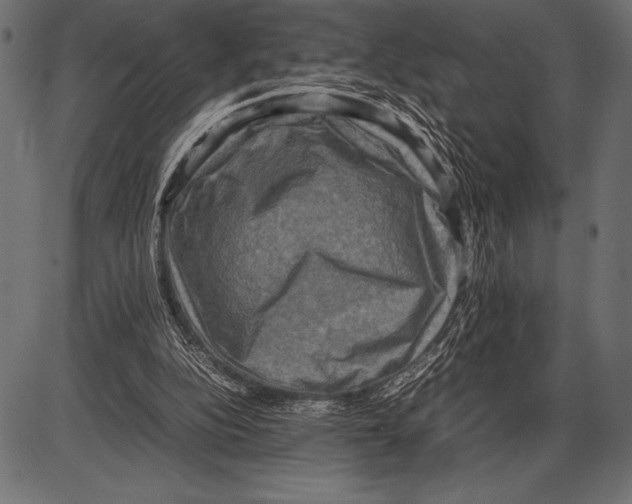 X0000085730152200704091453